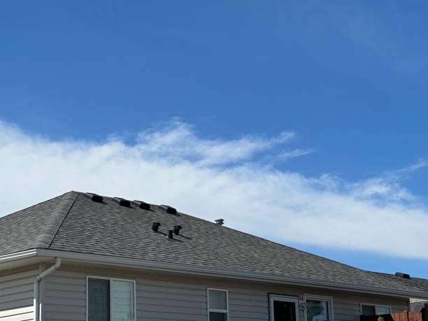 Best Asphalt Shingle Roofing  in USA